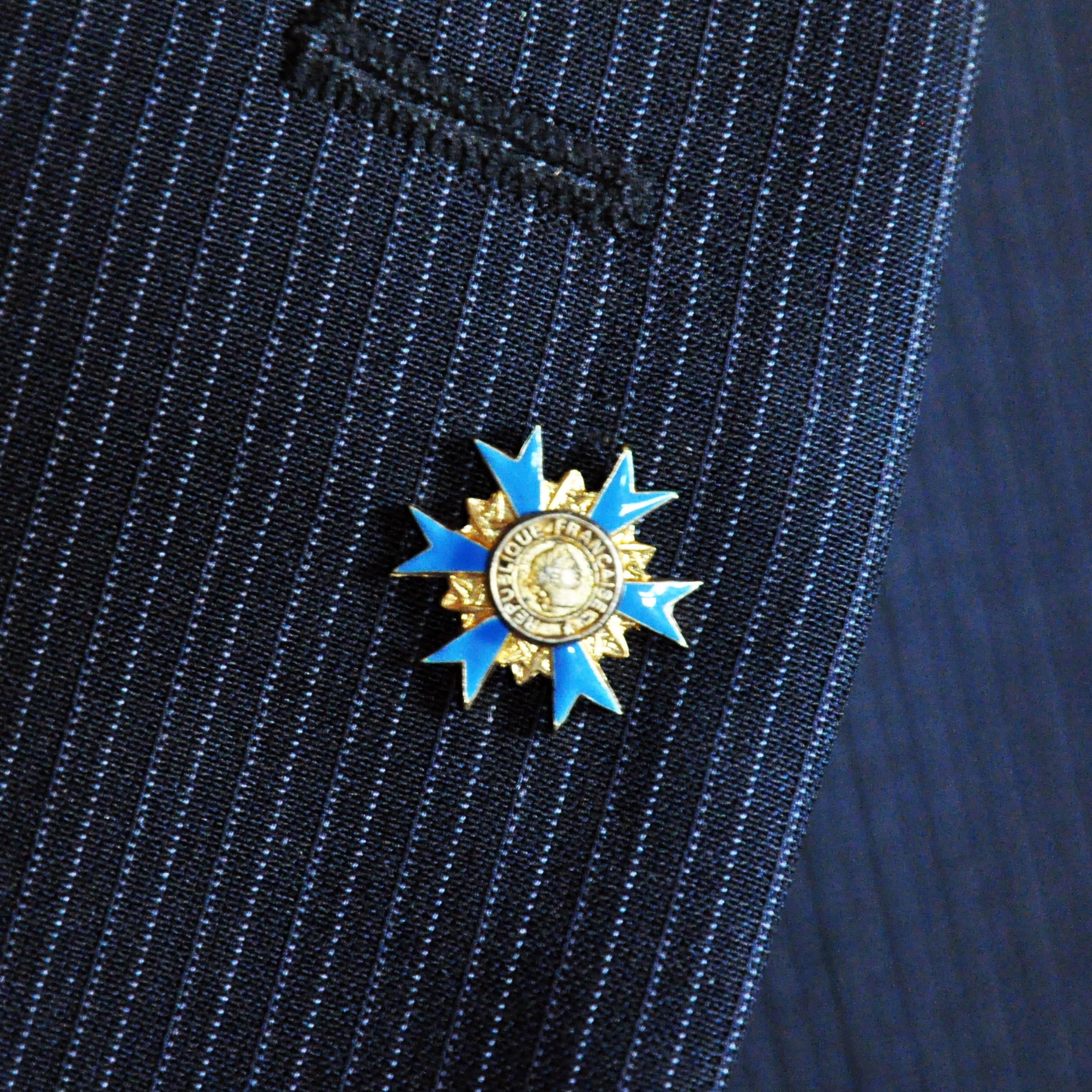 PINS ORDRE NATIONAL DU MERITE Officier ONM