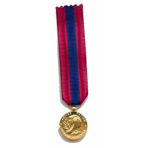 DEFENSE NATIONALE bronze - reduction miniature