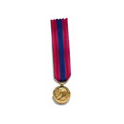 DEFENSE NATIONALE bronze - reduction miniature