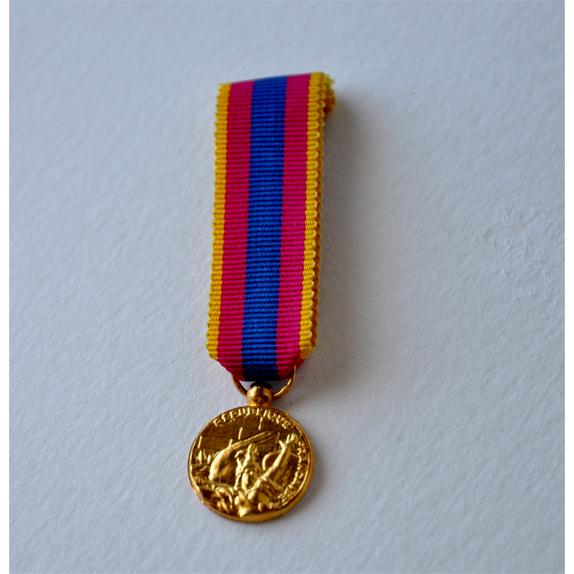 médaille de la DEFENSE NATIONALE or - reduction