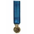 Médaille Jeunesse et Sports BRONZE reduction