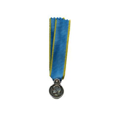 Médaille de la Jeunesse, des Sports et de l'Engagement Associatif - Échelon  Argent