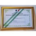 DIPLOME de MEDAILLE COMMUNALE avec cadre 20x30cm