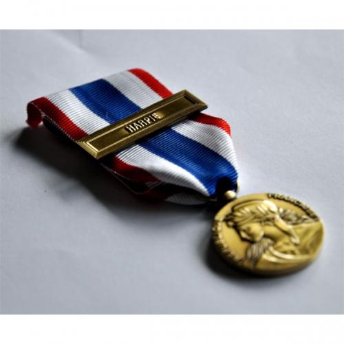 MEDAILLE PROTECTION MILITAIRE DU TERRITOIRE