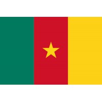 PAVILLON Cameroun 