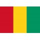 PAVILLON Guinée