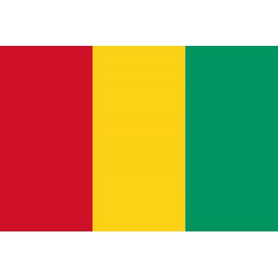 PAVILLON Guinée