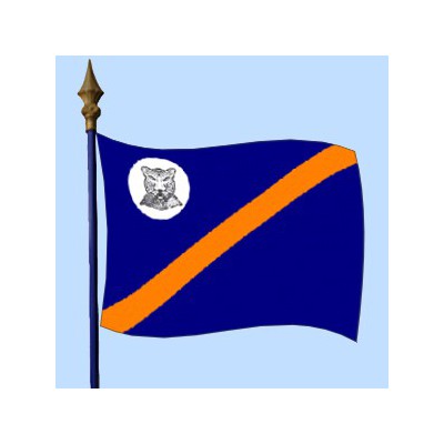 DRAPEAU Bophuthat swana