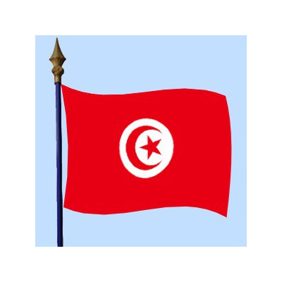 DRAPEAU Tunisie 