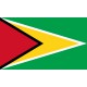  PAVILLON Guyana