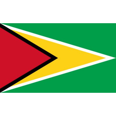  PAVILLON Guyana