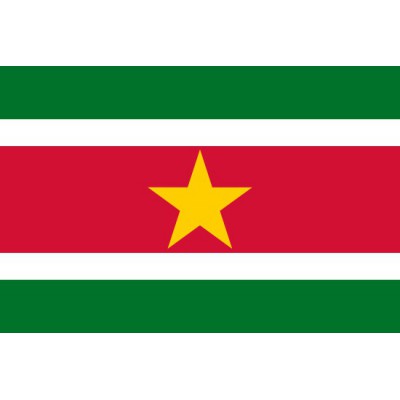 PAVILLON Suriname 