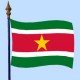 DRAPEAU Suriname 