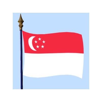 DRAPEAU Singapour 