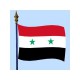 DRAPEAU Syrie 