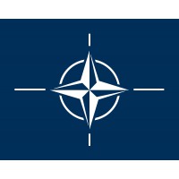 DRAPEAU OTAN finition pavillon sangle et anneaux