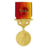 MEDAILLE SAPEURS POMPIERS SERVICES EXCEPTIONNELS vermeil