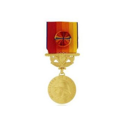 MEDAILLE SAPEURS POMPIERS SERVICES EXCEPTIONNELS vermeil