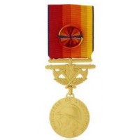 MEDAILLE SAPEURS POMPIERS SERVICES EXCEPTIONNELS or