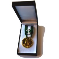 MEDAILLE COMMUNALE 35 ANS OR