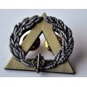 Insigne du Brevet de Secourisme bronze