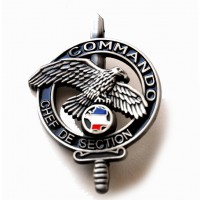 INSIGNE BREVET COMMANDO CHEF DE SECTION