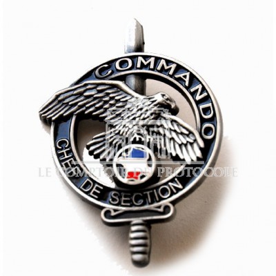 INSIGNE BREVET COMMANDO CHEF DE SECTION