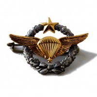 INSIGNE BREVET PARACHUTISTE ARMEE DE L AIR
