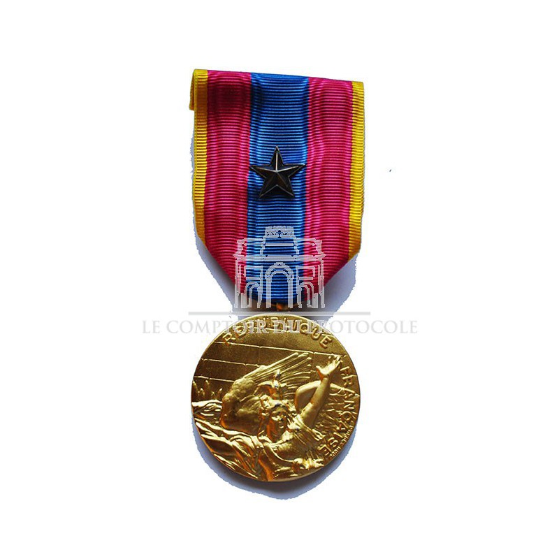 Agrafe Insigne FAS Anthracite pour citation Médaille Défense Nationale 
