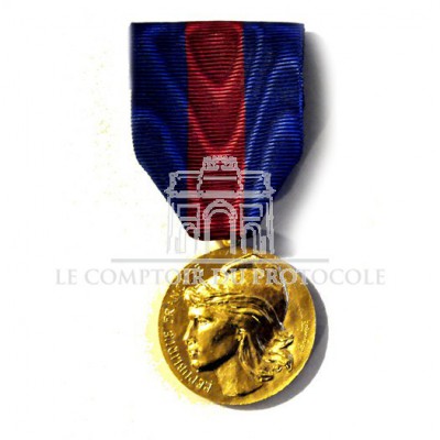 MEDAILLE SERVICES MILITAIRES VOLONTAIRES bronze SVM