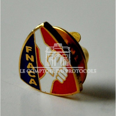 PINS INSIGNE ACPG CATM