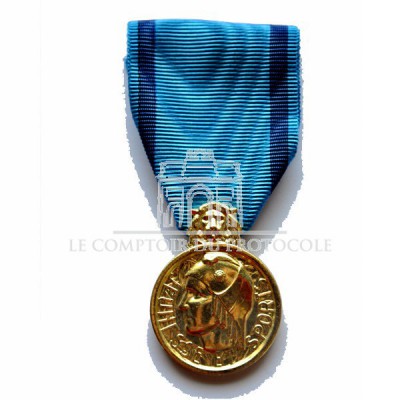Médaille Jeunesse, des Sports et l'Engagement Associatif BRONZE