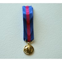 Médaille SERVICES MILITAIRES VOLONTAIRES bronze miniature smv