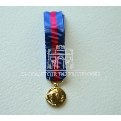 Médaille SERVICES MILITAIRES VOLONTAIRES bronze miniature