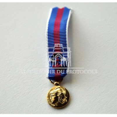 Médaille SERVICES MILITAIRES VOLONTAIRES or miniature smv