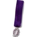 PALMES ACADEMIQUES chevalier - reduction argent