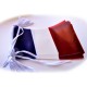 GUIRLANDE FRANCE TRICOLORE 10M plastique - 20 pavillons 20x30cm