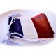 GUIRLANDE FRANCE 10M PVC