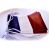 GUIRLANDE FRANCE TRICOLORE 10M plastique - 20 pavillons 20x30cm