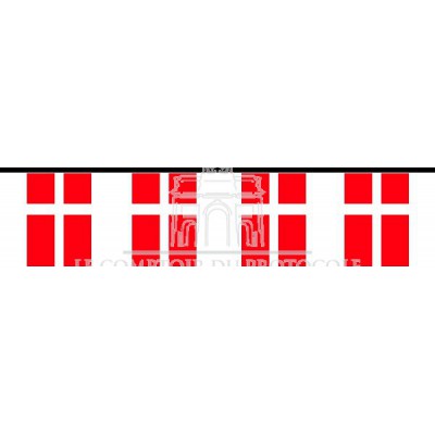 GUIRLANDE SUISSE PVC 10m