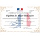 DIPLOME DE MAIRE HONORAIRE avec cadre 30X40cm