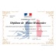 DIPLOME DE MAIRE HONORAIRE avec cadre 30X40cm