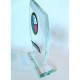 TROPHEE VERRE biseau