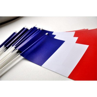 DRAPEAU FRANCE PAPIER 12X24cm - lot de 25 ex