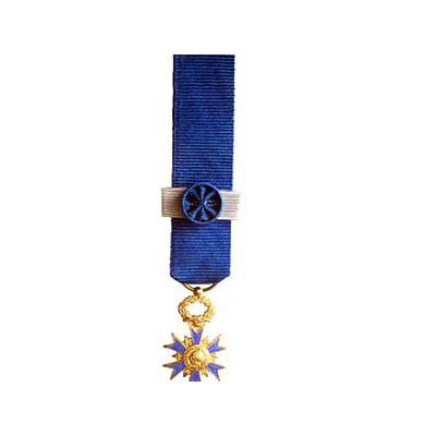 ORDRE NATIONAL DU MERITE COMMANDEUR miniature bronze dore