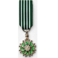 Médaille des arts et lettres chevalier miniature
