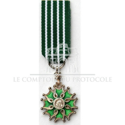 Médaille des arts et lettres chevalier miniature