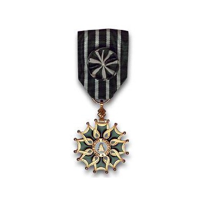 MEDAILLE DES ARTS ET LETTRES Officier