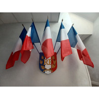 lot ECUSSON RF PALMES avec 5 drapeaux france 60x90cm