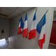 lot ECUSSON RF PALMES avec 5 drapeaux france 60x90cm
